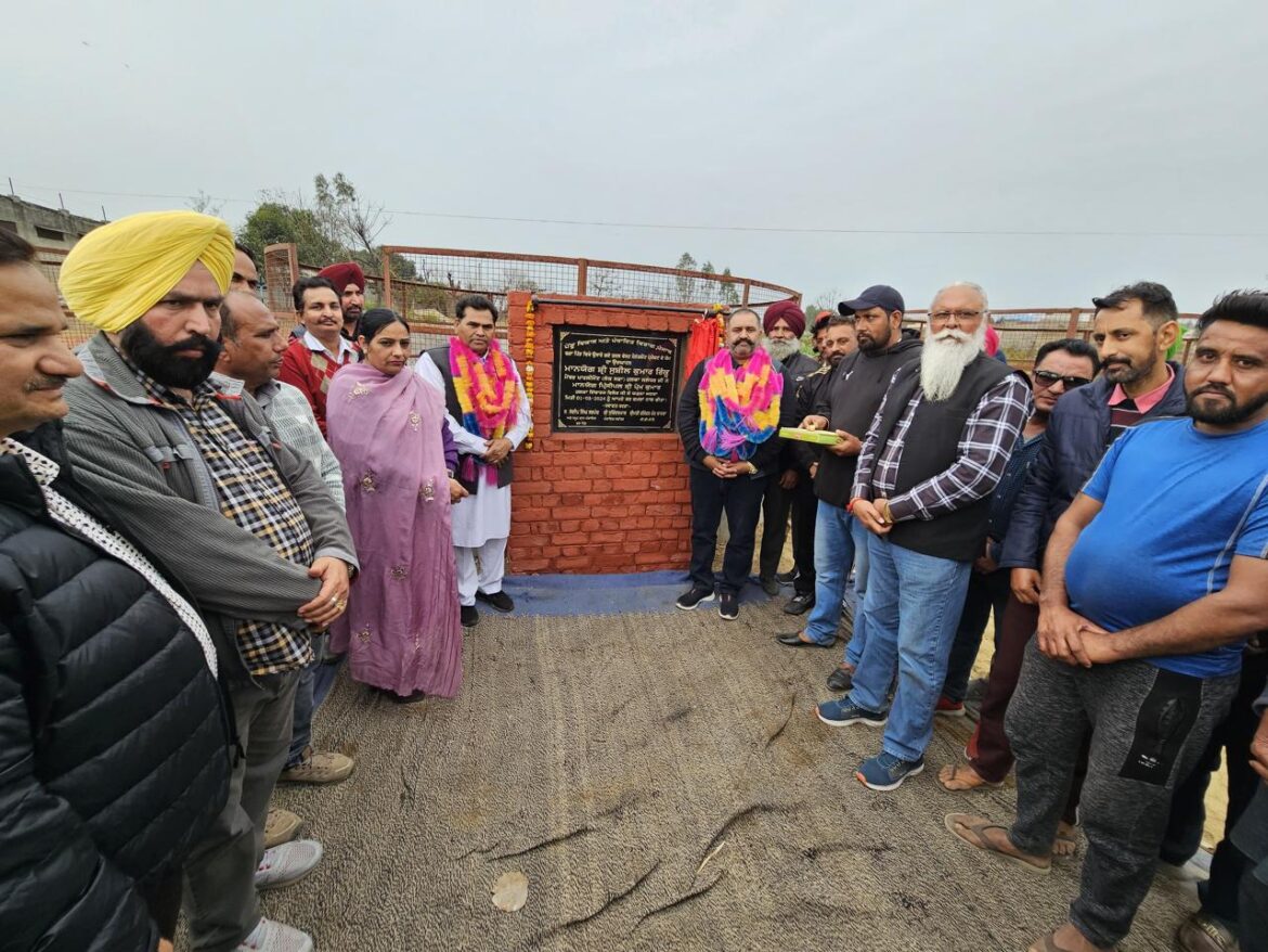 WhatsApp Image 2024-03-01 at 5.50.33 PM