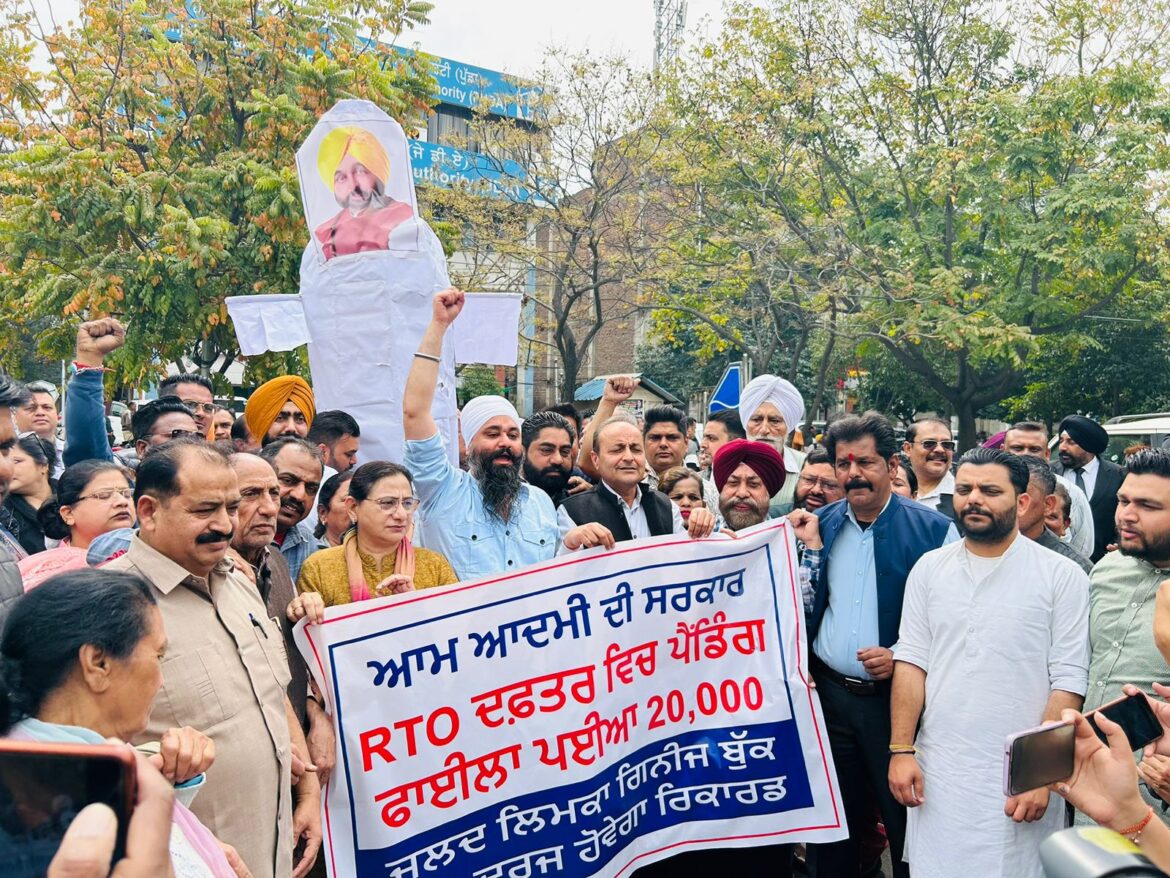 WhatsApp Image 2024-03-13 at 4.44.50 PM