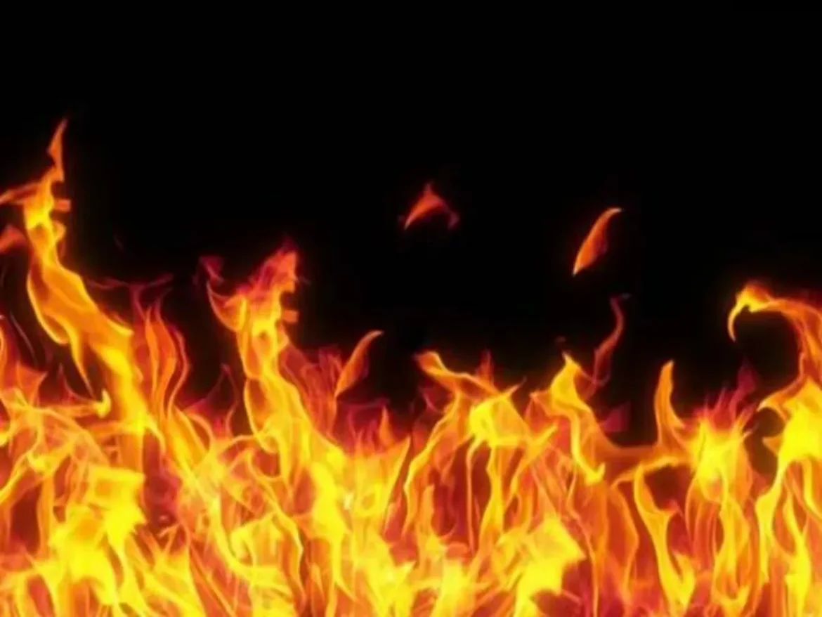 fire__1567156864