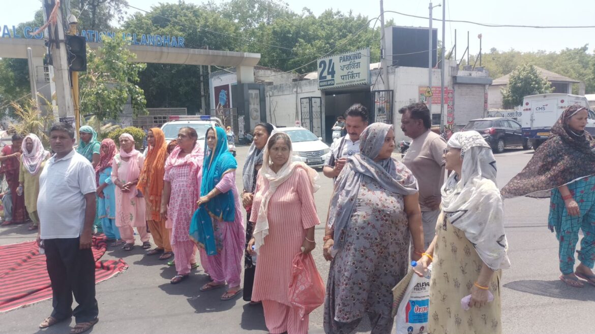 WhatsApp Image 2024-06-18 at 11.42.52 AM