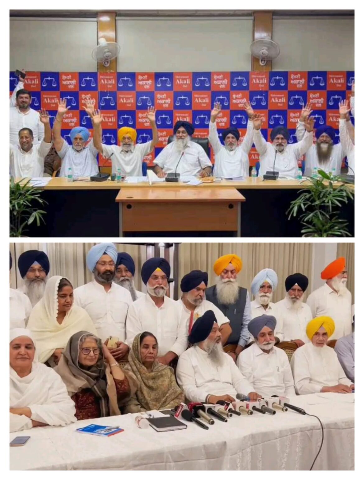 WhatsApp Image 2024-06-26 at 6.24.06 PM