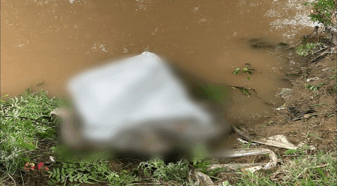 WhatsApp Image 2024-07-24 at 2.35.42 PM