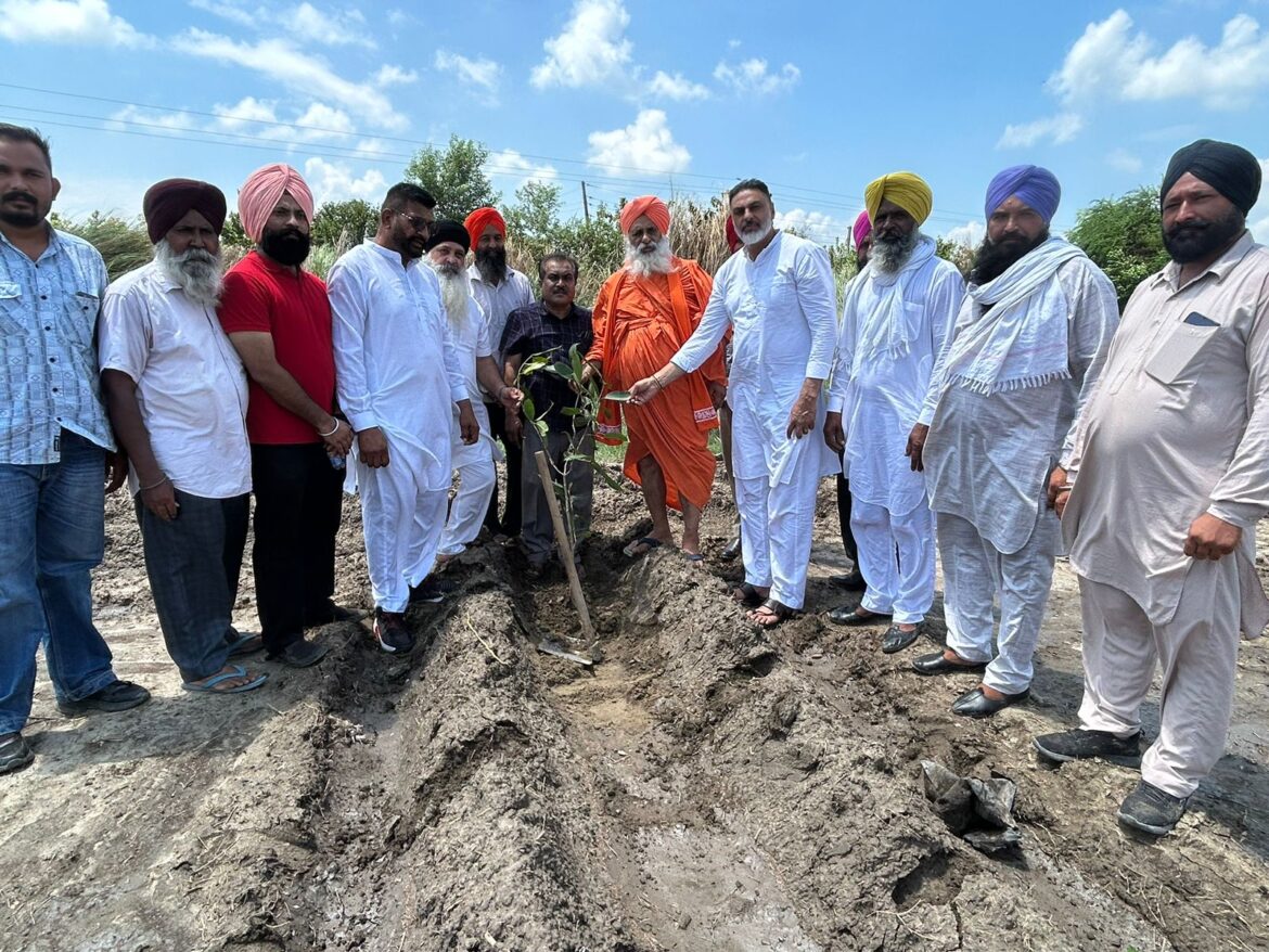 WhatsApp Image 2024-08-03 at 5.52.39 PM