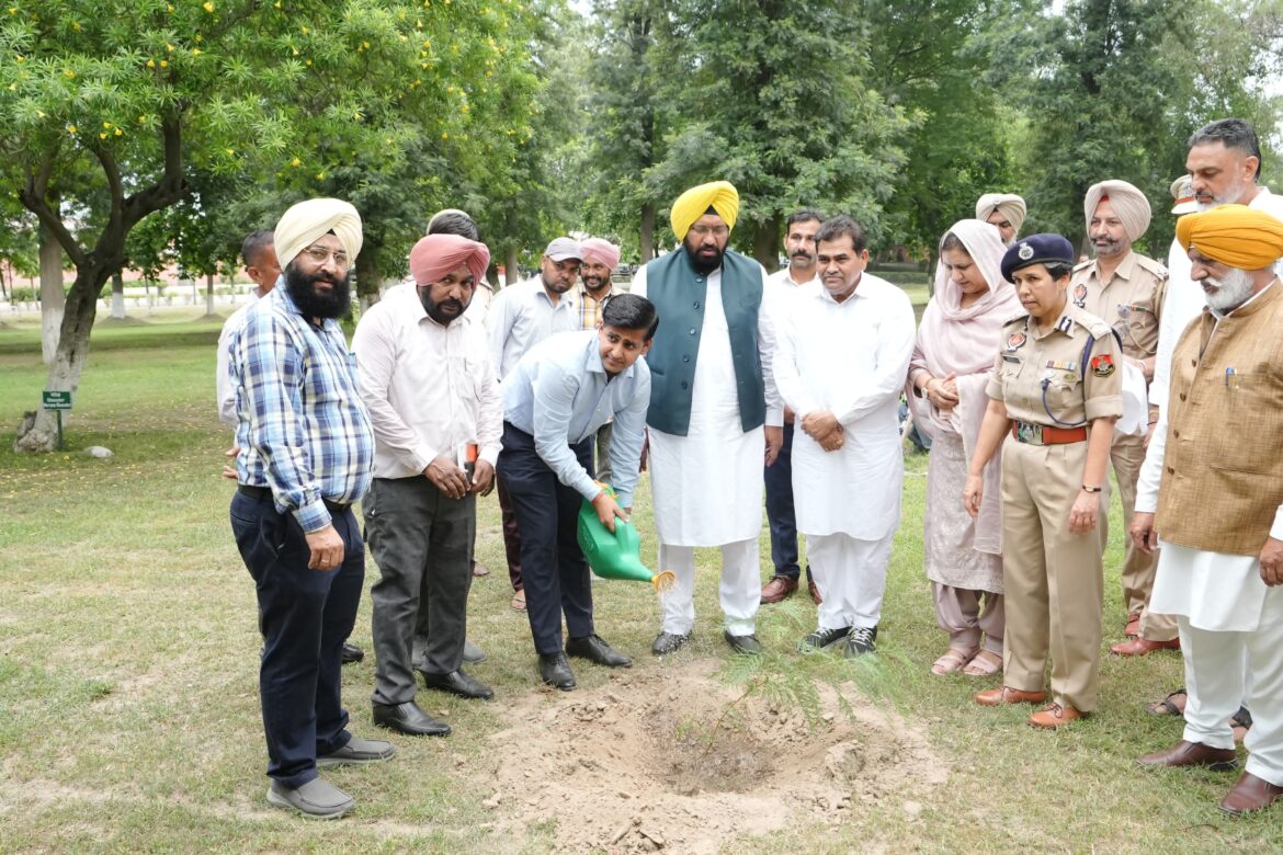 WhatsApp Image 2024-08-07 at 2.28.41 PM