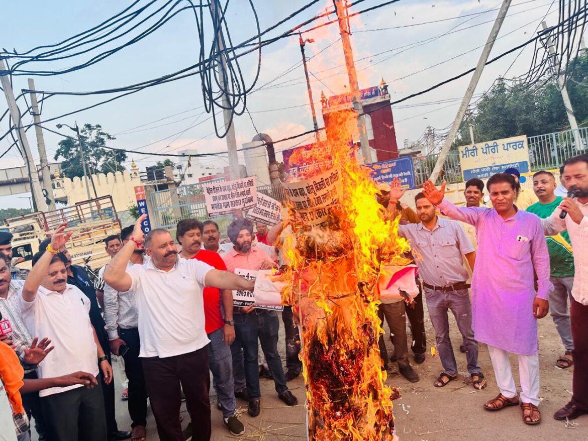 WhatsApp Image 2024-09-07 at 11.08.15 AM (2)