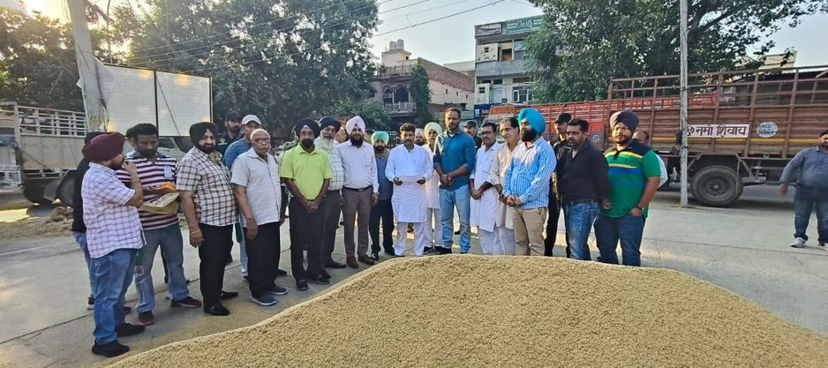 WhatsApp Image 2024-10-11 at 5.38.59 PM