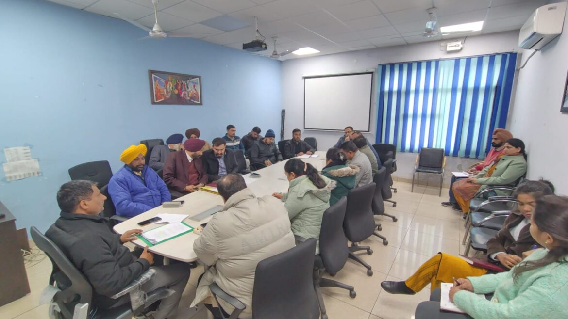 WhatsApp Image 2025-01-03 at 5.01.58 PM