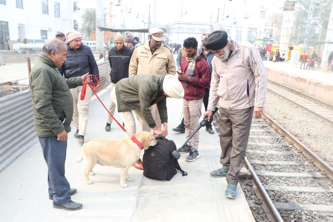 WhatsApp Image 2025-01-16 at 5.08.51 PM