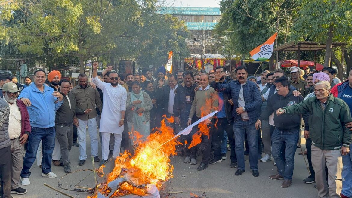 WhatsApp Image 2025-02-08 at 11.12.34 AM