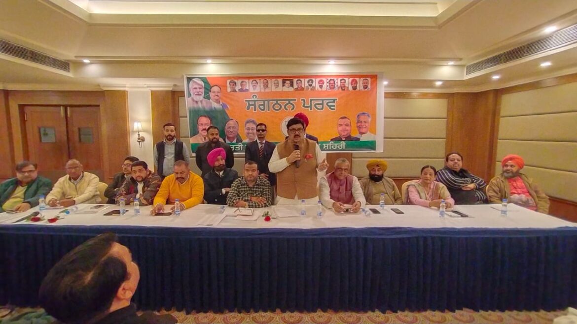 WhatsApp Image 2025-02-08 at 11.14.31 AM