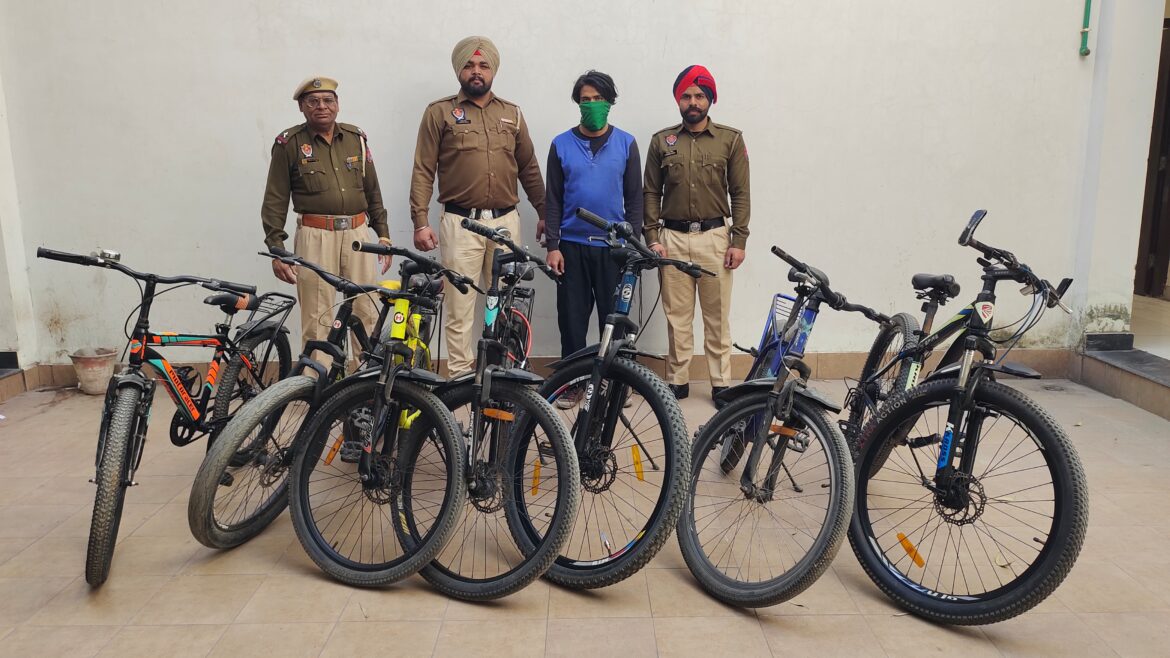 WhatsApp Image 2025-02-18 at 1.25.21 PM