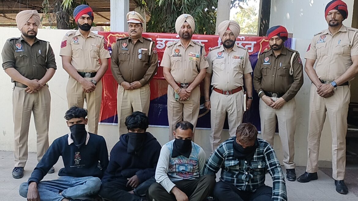 WhatsApp Image 2025-03-18 at 3.41.44 PM