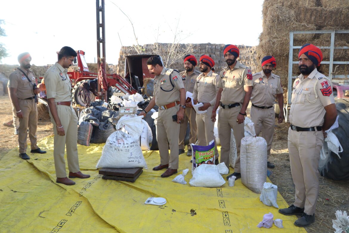 WhatsApp Image 2025-04-01 at 3.10.15 PM