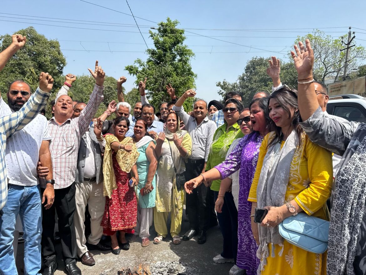 WhatsApp Image 2025-04-02 at 4.41.42 PM