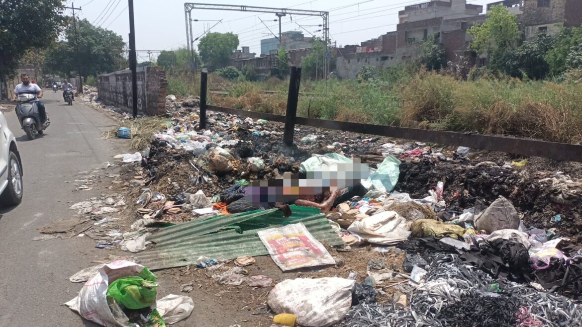 WhatsApp Image 2025-04-17 at 12.43.47 PM