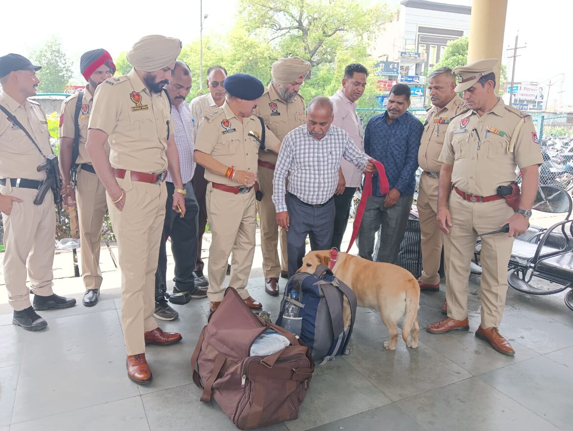 WhatsApp Image 2025-04-19 at 4.20.51 PM