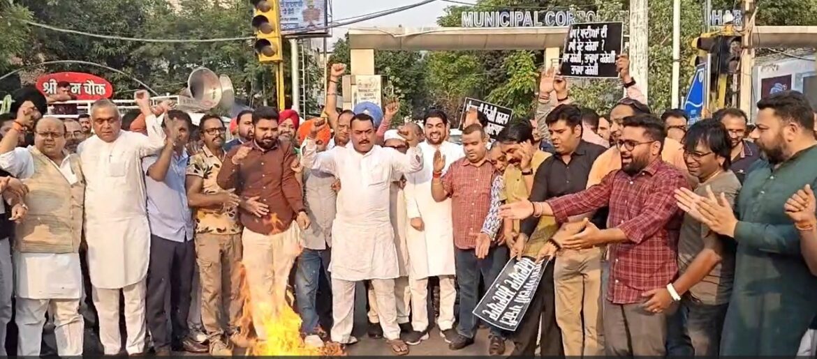 WhatsApp Image 2025-05-03 at 4.16.53 PM