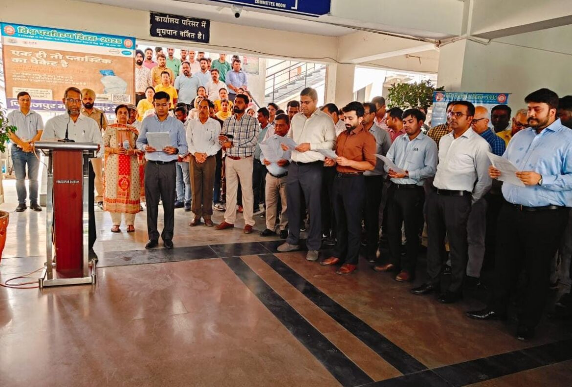 WhatsApp Image 2025-05-22 at 2.52.15 PM (1)