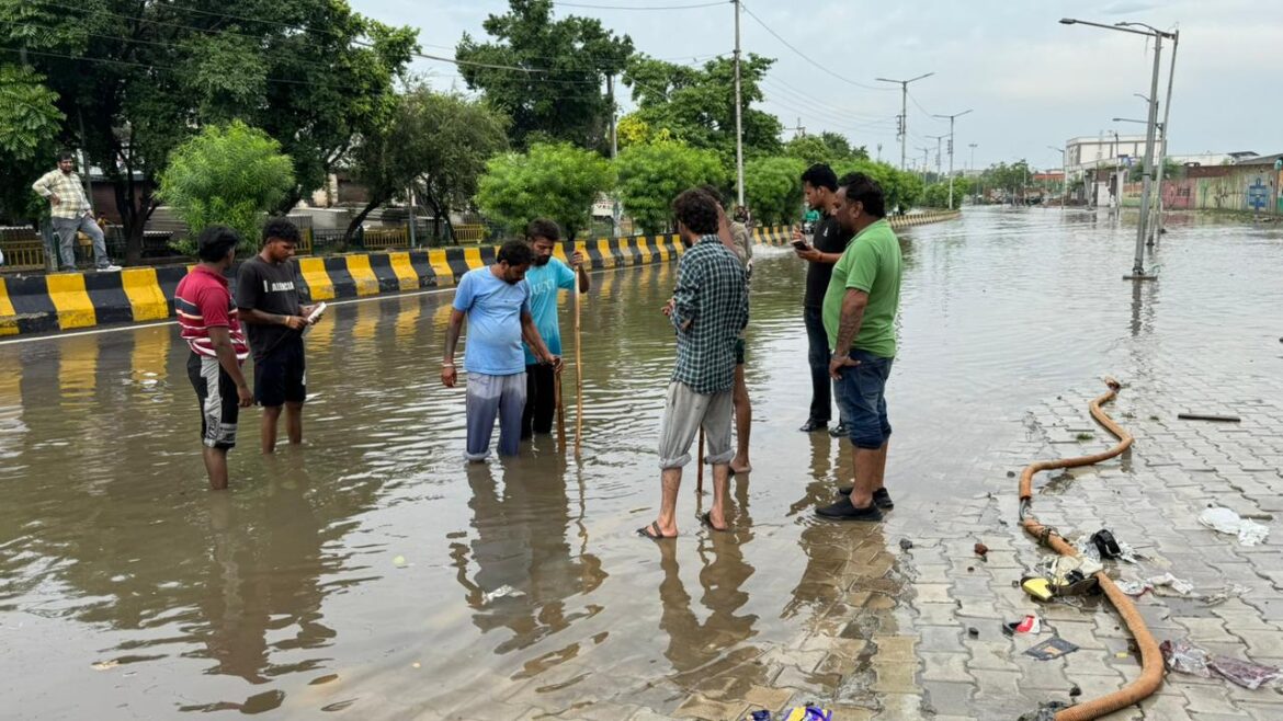 WhatsApp Image 2025-08-20 at 5.13.29 PM